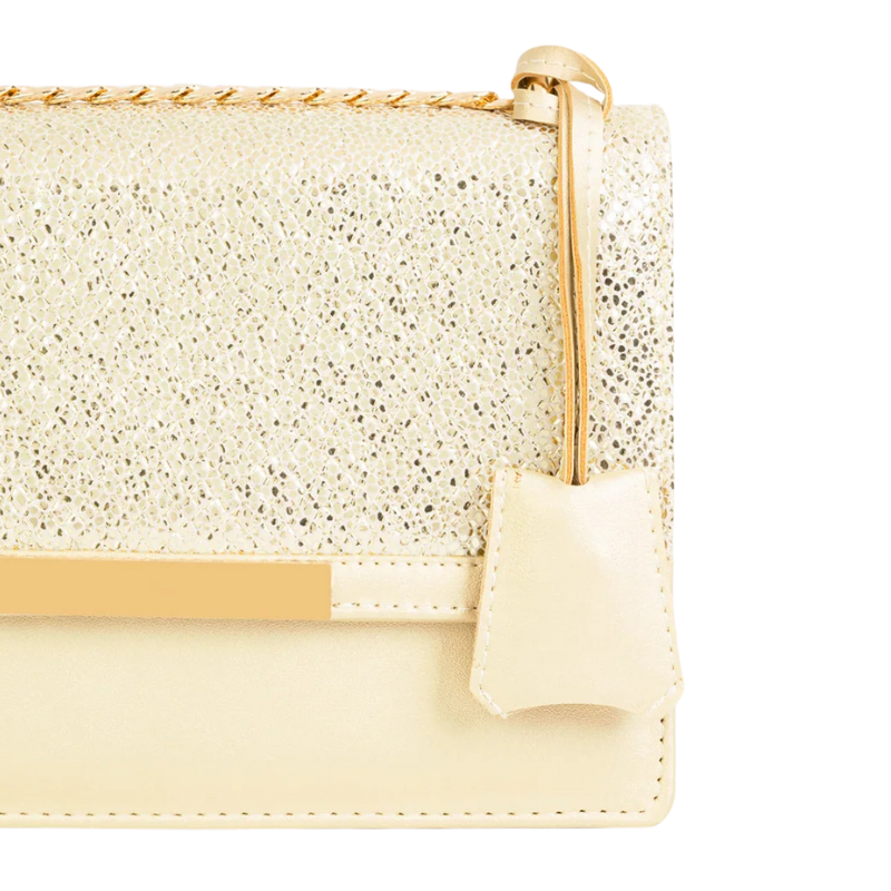 Trendy Golden Handbag for Women